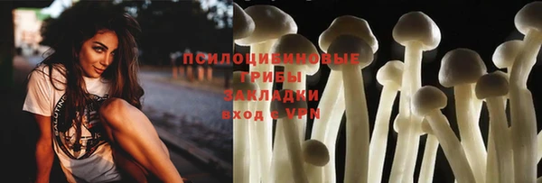 мдпв Куйбышев