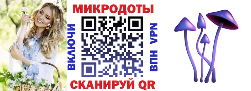 Галлюциногенные грибы Psilocybine cubensis  Медынь 